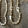 Shell Necklace