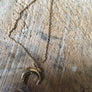 NWT Uncommon James Necklace