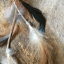 NWOT Feather Hair Clip