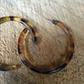 Tortoise Hoop Earrings
