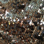 NWT Forever 21 Sequin Tank