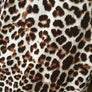 Leopard T-Shirt