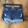 Hudson Ruby Distressed Shorts