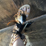 Tan Feather Sandals