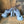 Aldo Basinski Heels