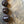 Kukui Nut Hawaiian Necklace