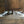Golden Goose Animal Print Sneakers