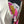 NWT Billabong Rashguard