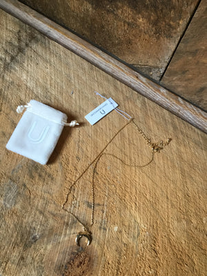 NWT Uncommon James Necklace