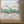 NWT Silver Turquoise Earrings