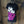 Blink 182 T-Shirt
