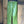 NWT Faux Leather Pants
