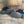 Union Jack Doc Martens