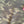 Spanx Camo Leggings S