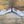 Franco Sarto Loafers