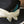 Teressa Foglia “ Ralph” Hat
