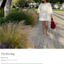 NWT Simone Fan Bag