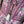 Wild Collective Bohemian Dress