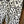 Joe’s Jeans Leopard Skinny