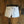 True Religion Shorts