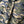 True Religion Camo Button Down