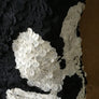 Yoana Baraschi 3D Top