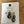 NWT Isac Earrings