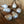 Freshwater Pearl Leather Necklace