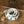 White Web Belt