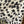 Joe’s Jeans Leopard Skinny