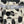 Joe’s Jeans Leopard Skinny
