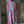NWT Magnolia Pearl Duster