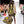 Rank & Sugar Runway Dress