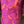 Boden Cover-up
