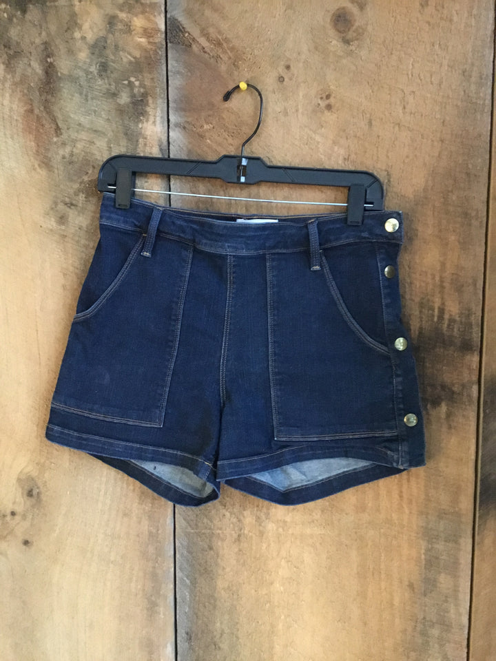 Frame Denim Shorts
