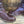 Chloe Brown Leather Boots