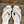 Ivory Crossover Slides