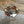 Buddha Bracelet Set