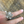 Flower Petals Ring