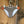 Trina Turk Bikini Bottom