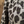 Tinley Road Leopard Dress