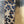 NWT Leopard Print Belt